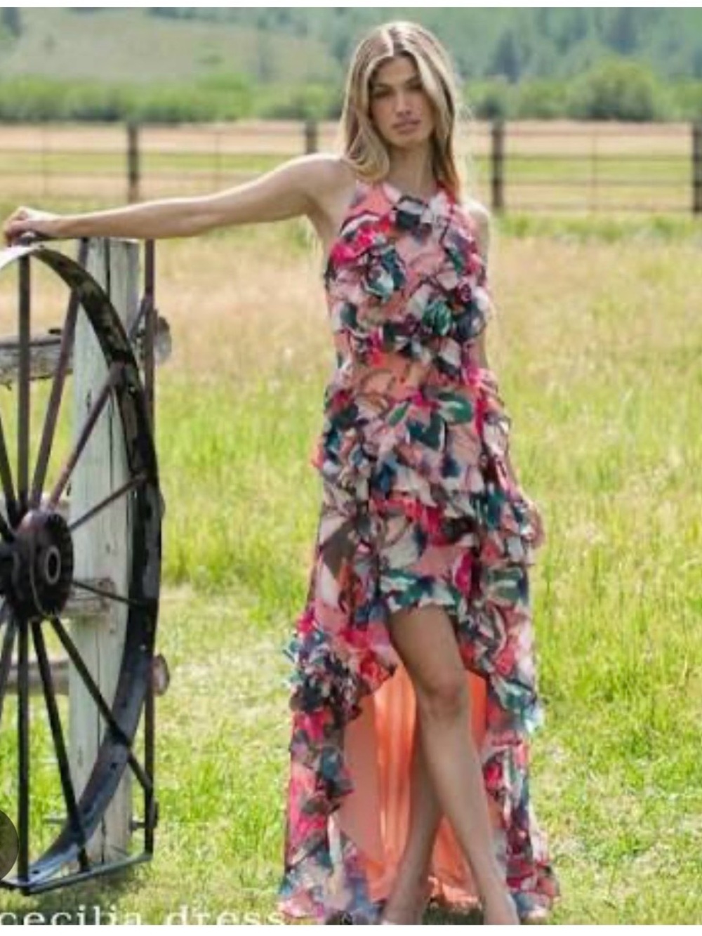 Hutch Cecilia Hi-Low Floral Dress